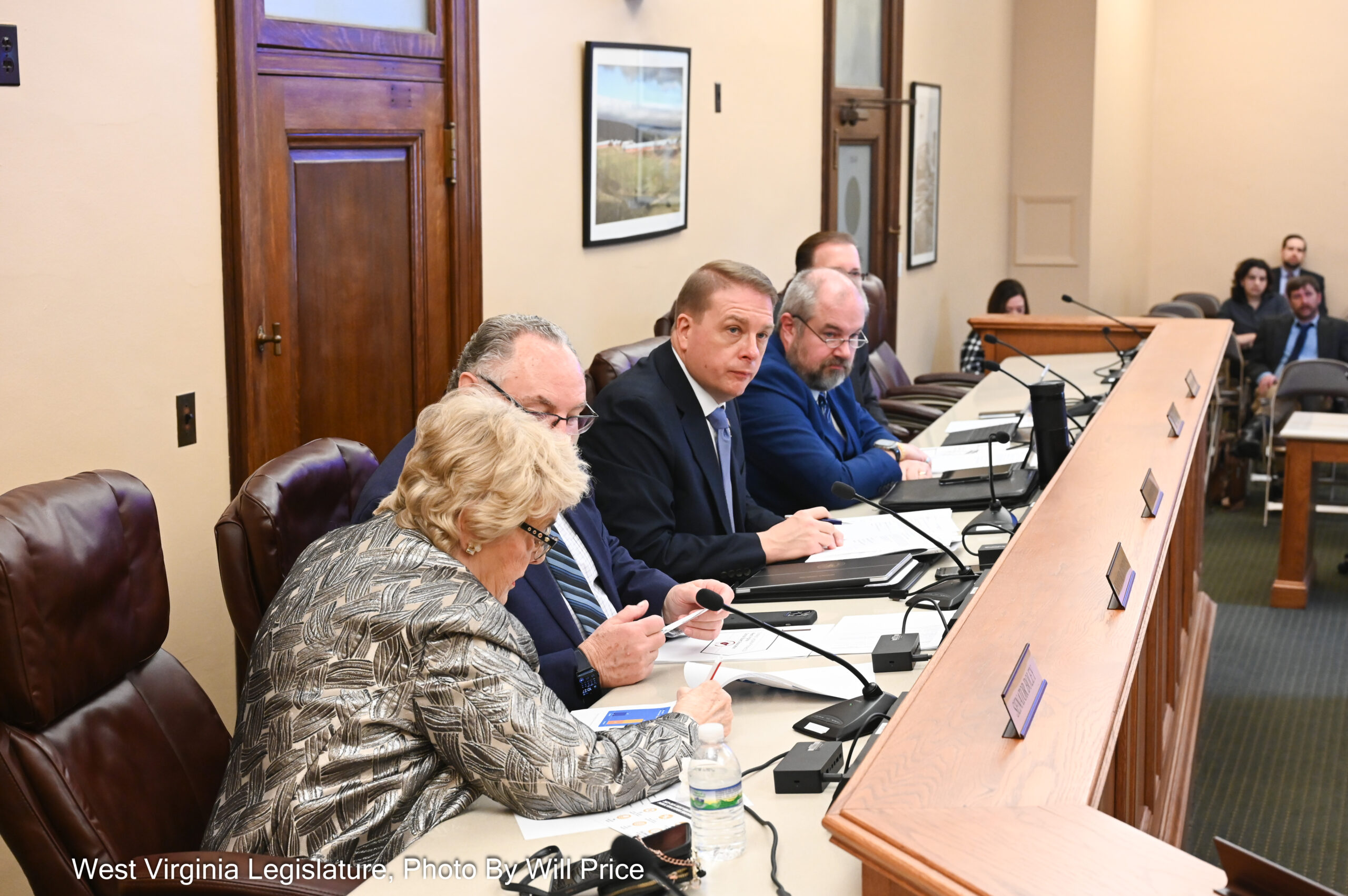 Senate committees OK gun bill, student organization bill, Edith Levy resolution